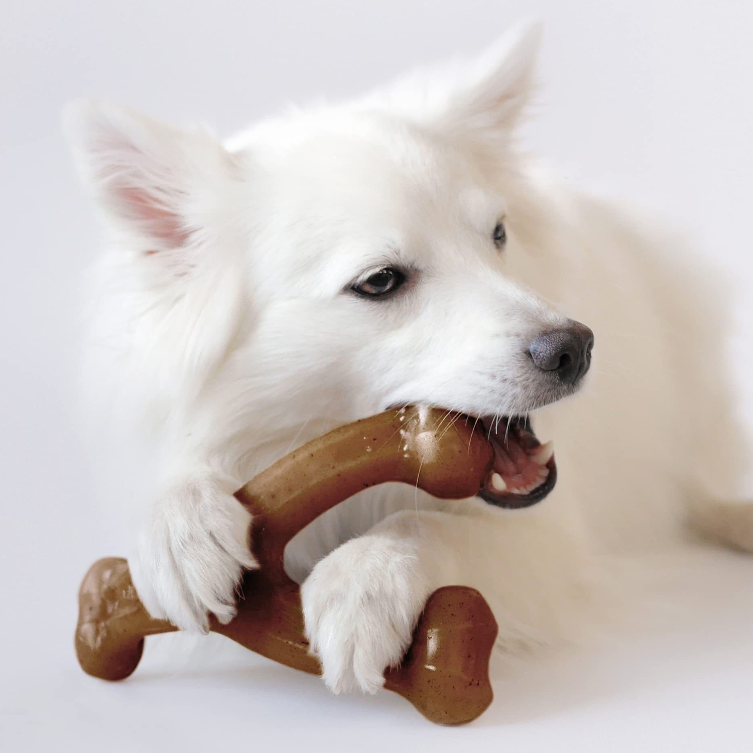 Dog Toys Food Grade Nylon Durable Dog Chews Bacon Flavor Real Bone Shape Attracts Pets Suitable For Dogs To Chew And Clean Teeth