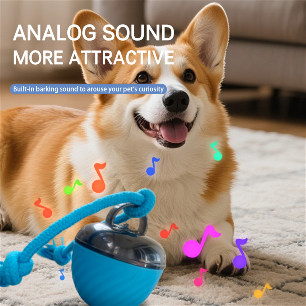 Pet Ball for Dogs Interactive Toys Motion Activate Rolling Ball for Puppy/Small Dogs Automatic Moving Toy USB Rechargeable Toy