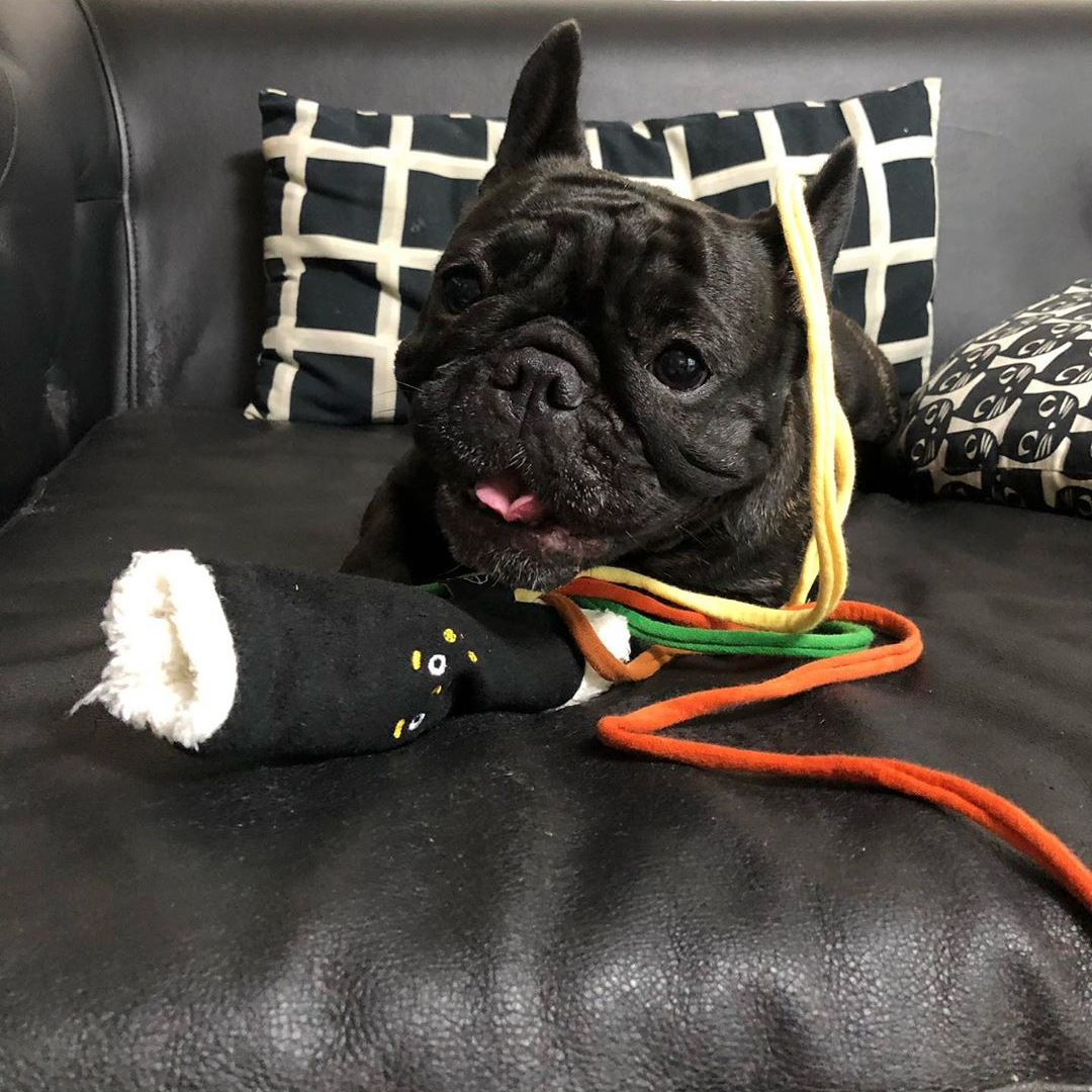 New Sushi Seaweed Roll Hidden Food Smelling Toy Pet Dog Sound-making Plush Toy Chewing And Gnawing Toy Dog  Fur Plush Toys