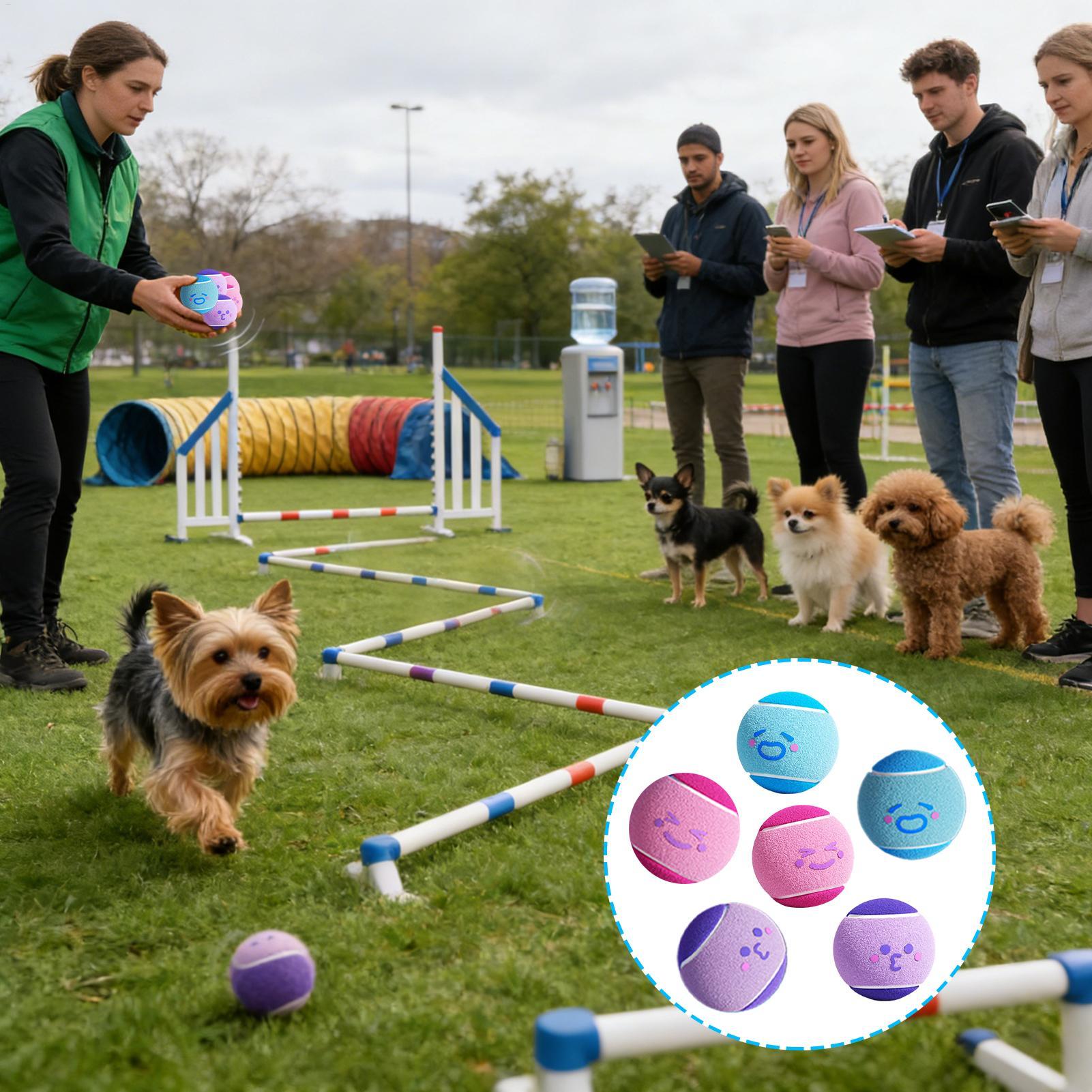 Tennis Balls For Dogs Pet Exercise Interactive Toys 6-Pieces Dog Toy Tennis Balls For Apartment Dormitory House Garden Backyard