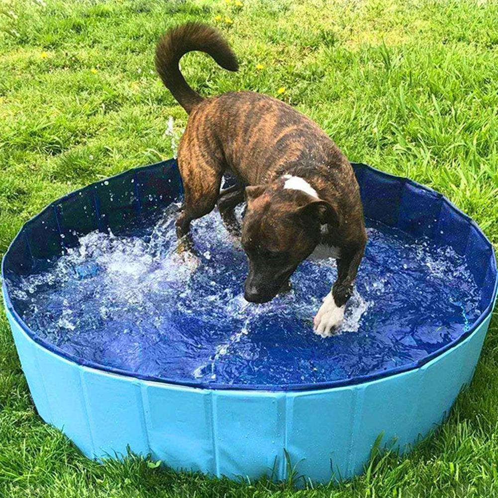 Foldable Pet Dog Bathing Tub Pool for Small Dogs Cat Pool Toy with Fish-Water Cat ToysInteractive, Portable Pet Grooming Bathtub
