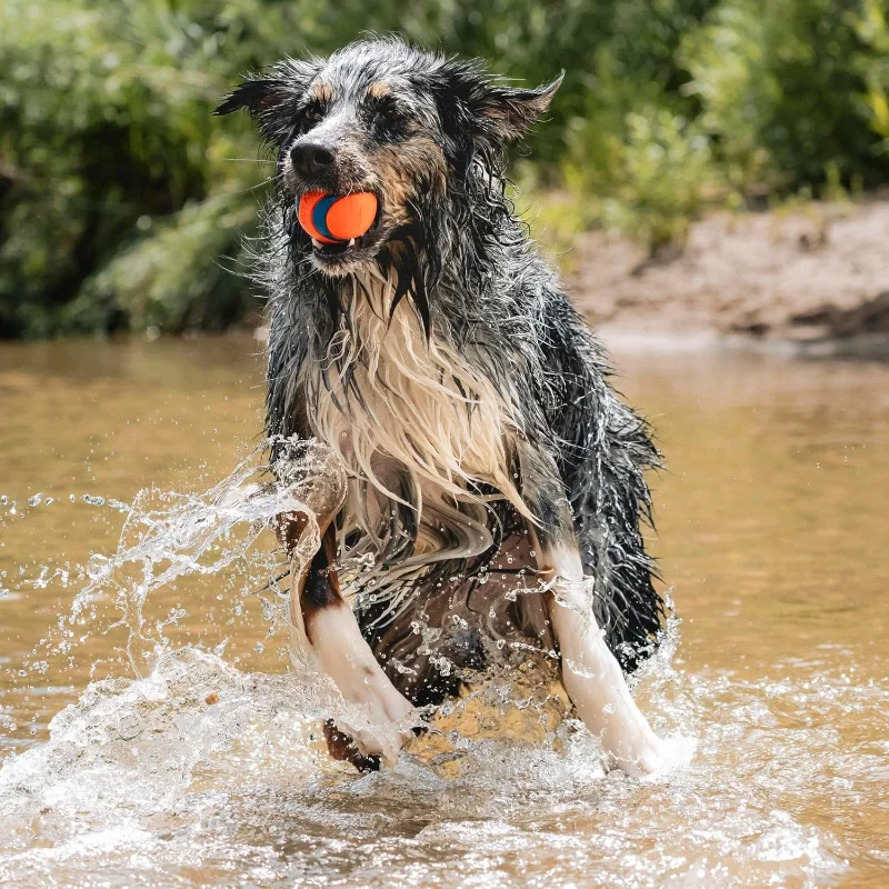 Ultra Ball Dog Toy Size Large For Dogs 60 100 lbs Made from Durable Rubber Super Bouncy Floats in Water 3-inch Diameter
