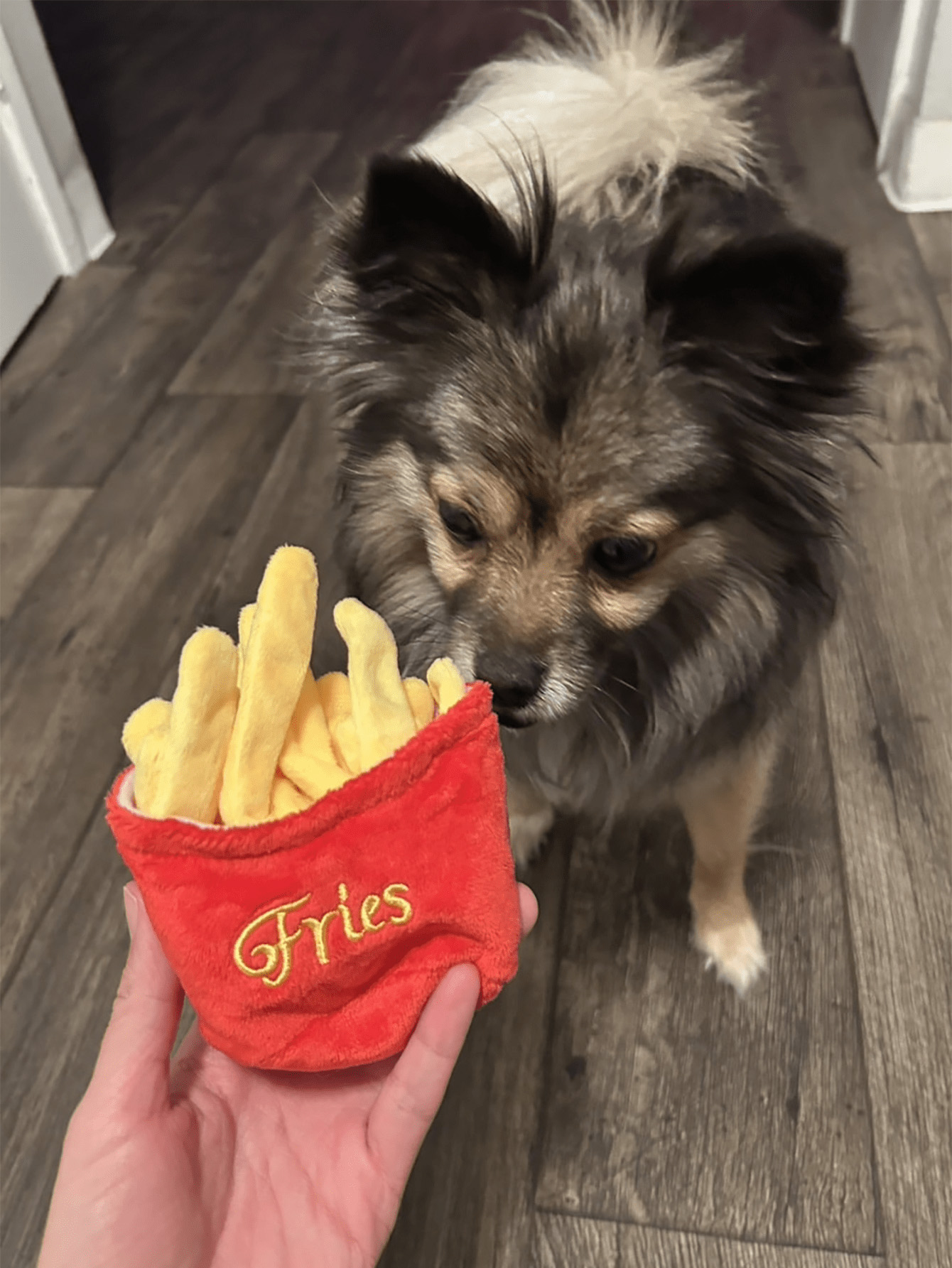 1 piece of french fry design pet plush toy, detachable french fry dog cat toy, relieves boredom, soft and safe, suitable for sma
