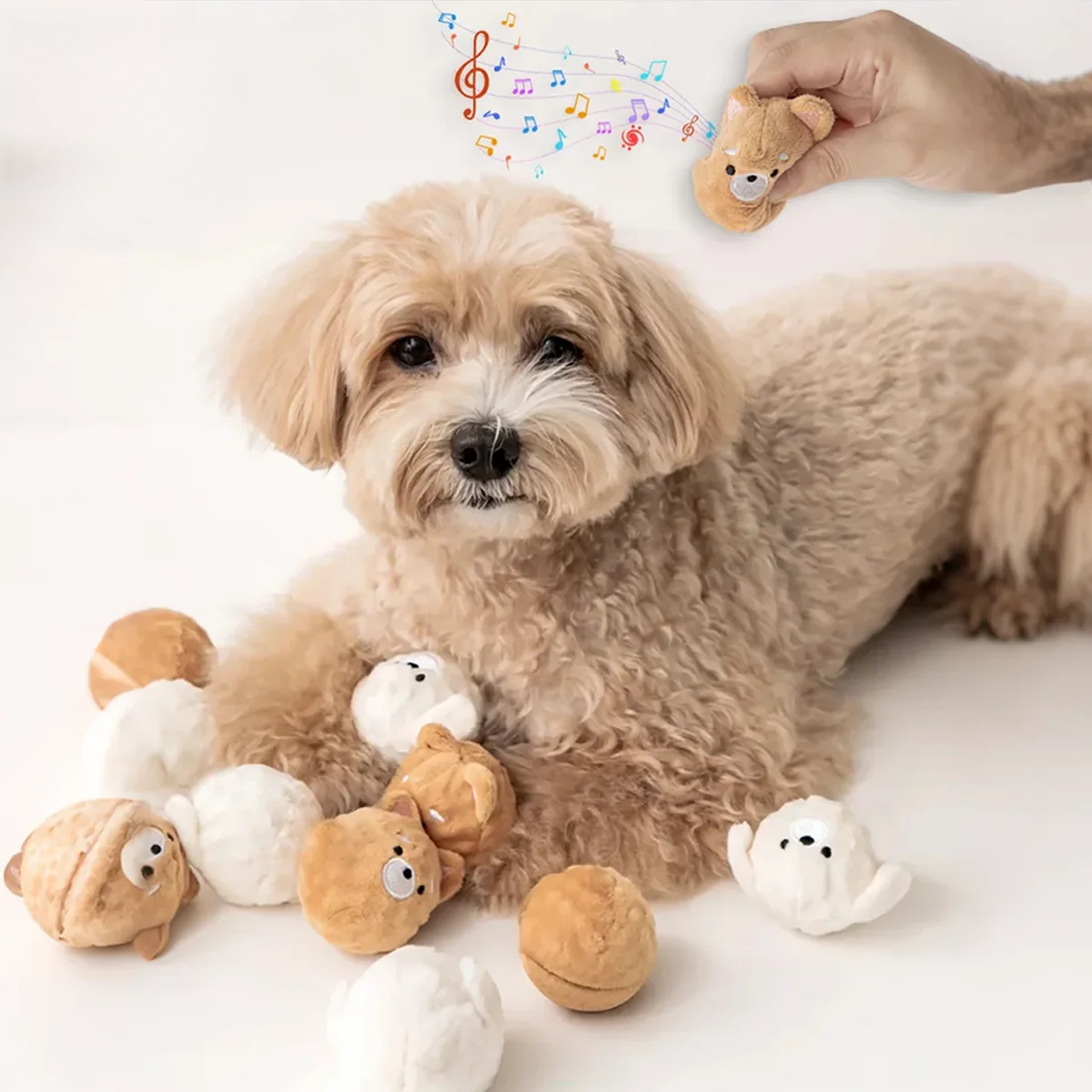 Squeaky Puppy Ball Toy - Spiked Bouncing Chew for Teeth Cleaning, Interactive Pet Toy for Small Dogs & Cats (Poodle/Bichon)