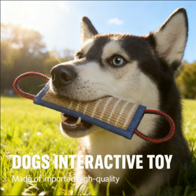 Interactive tug toy for large dog training – obedience training (retrieve/tug commands) to bond and play with your big dog.